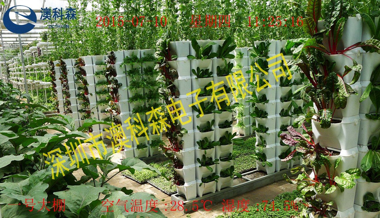 大棚种植园(澳科森).jpg 大棚种植园(澳科森).jpg